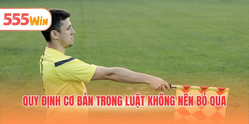 Quy định cơ bản trong luật không nên bỏ qua